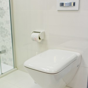 Vystavený vzorek v koupelnovém studiu Gremis - závěsná toaleta