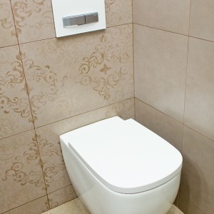 Vystavený vzorek v koupelnovém studiu Gremis - WC se splachovacím systémem