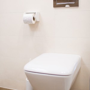 Detail vzorkové koupelny v koupelnovém studiu Gremis - toaleta s příslušenstvím